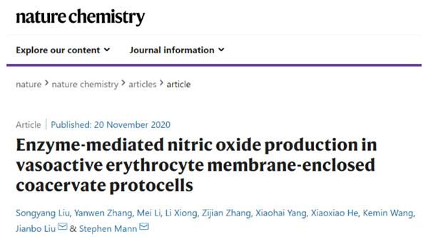 Nature Chemistry.jpg Nature Chemistry.jpg