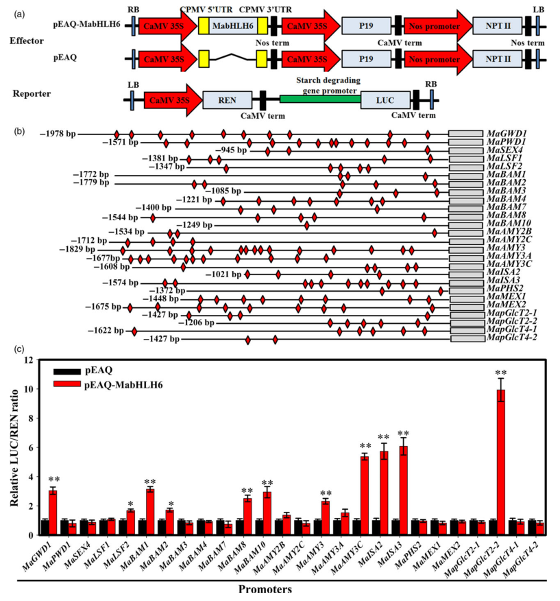 iTRAQ蛋白質(zhì)組學(xué)分析、itraq實驗服務(wù)、iTRAQ技術(shù)