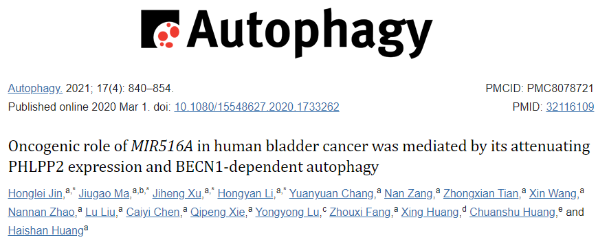 LC-MS/MS蛋白鑒定實(shí)驗(yàn)客戶高分文獻(xiàn)-輝駿生物 LC-MS/MS蛋白鑒定實(shí)驗(yàn)客戶高分文獻(xiàn)-輝駿生物
