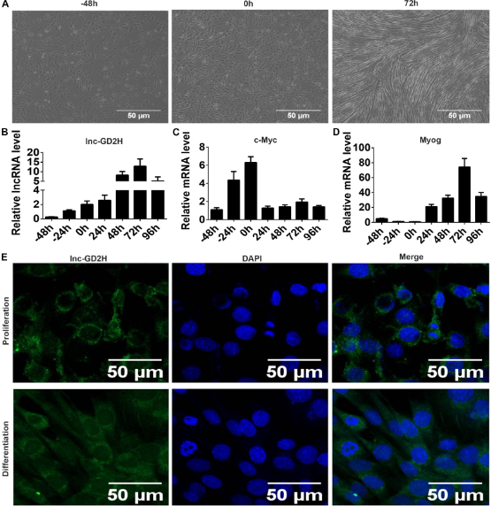 1686126853655115.png 圖片1.png