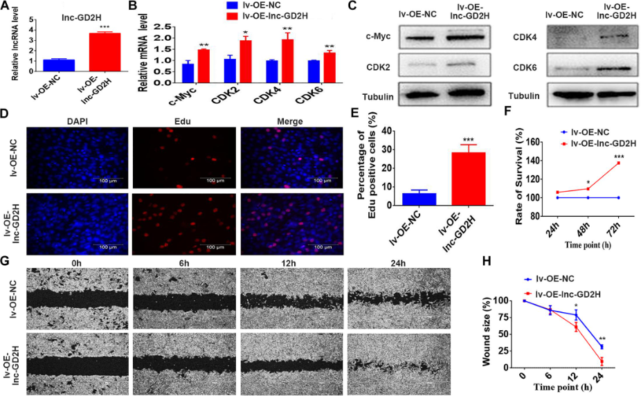 1686126889605069.png 圖片2.png