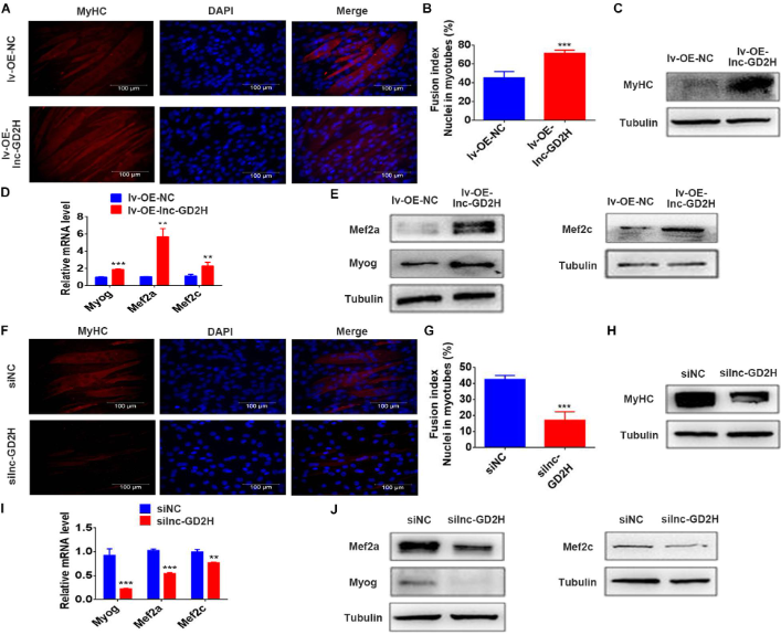 1686127086829222.png 圖片5.png