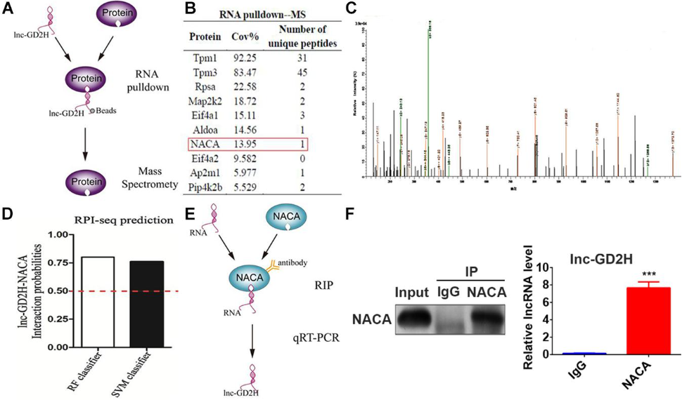 1686127105137404.png 圖片6.png