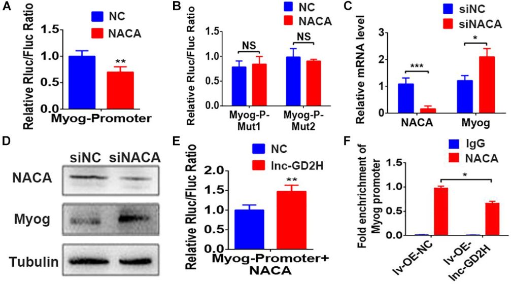 1686127128621034.png 圖片7.png