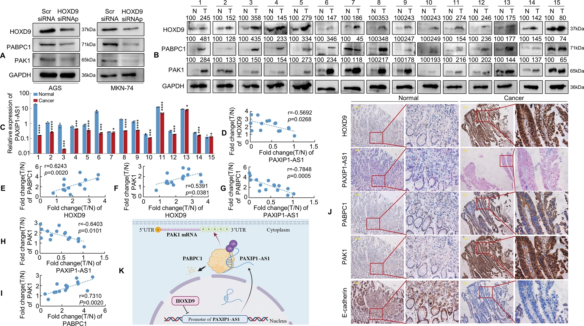 1689236593119068.jpg 1689236593119068.jpg