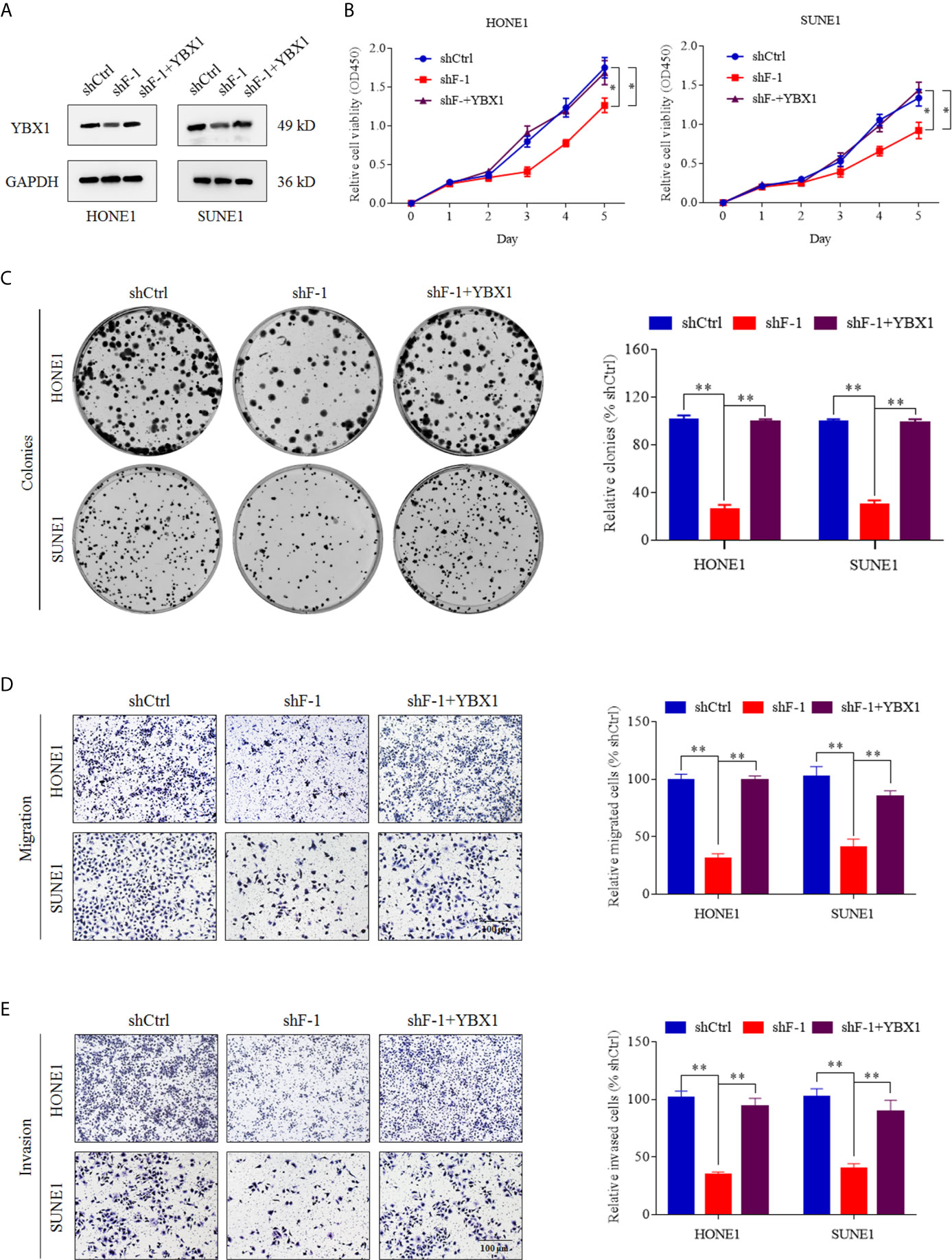 1689317759926431.jpg 1689317759926431.jpg