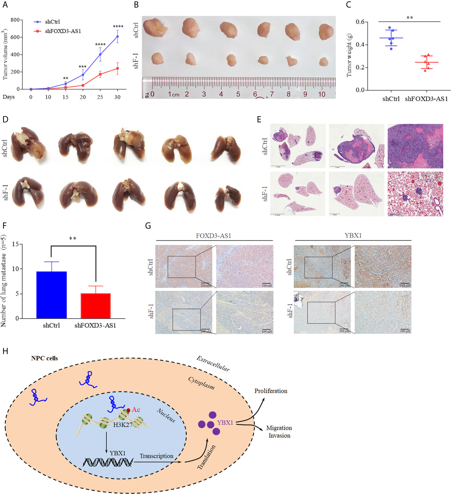 1689317812356389.jpg 1689317812356389.jpg