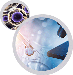 itraq,label free,lc-ms/ms質譜鑒定,DIA實驗,廣泛靶向代謝組學 itraq,label free,lc-ms/ms質譜鑒定,DIA實驗,廣泛靶向代謝組學