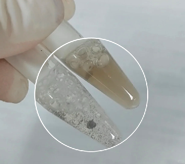 普通磁珠相互聚集結(jié)塊-輝駿生物納米抗體磁珠可有效解決聚團(tuán)現(xiàn)象 普通磁珠相互聚集結(jié)塊-輝駿生物納米抗體磁珠可有效解決聚團(tuán)現(xiàn)象