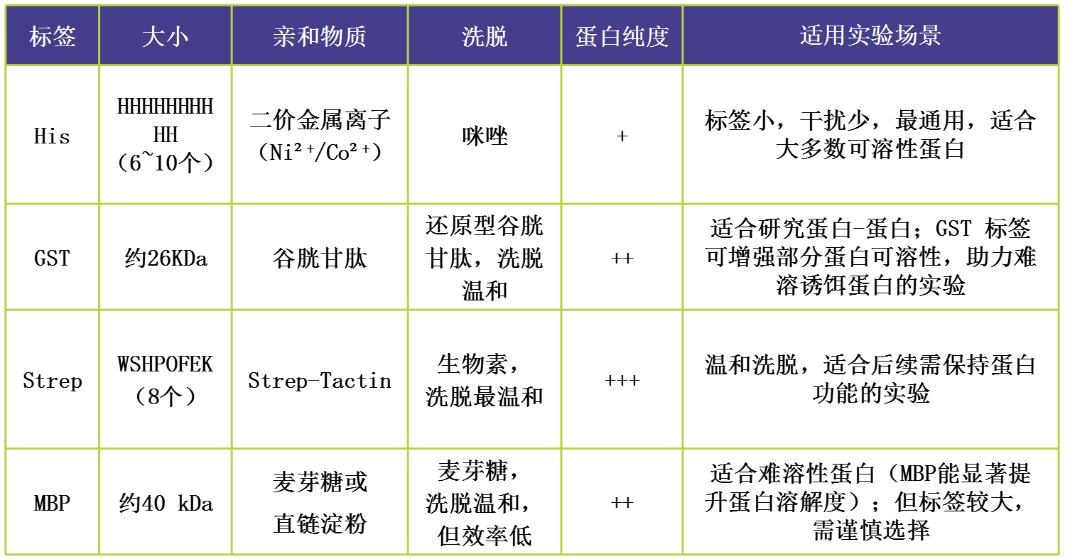 輝駿生物4種親和標(biāo)簽對比，分別為：His、GST、Strep、MBP，專業(yè)提供各類型標(biāo)簽蛋白試劑盒.png