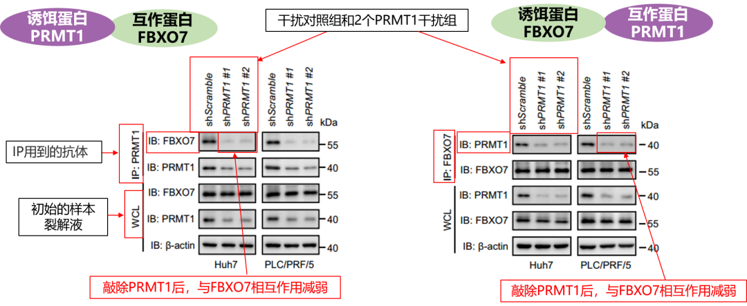 1765943582126905.png 1765943582126905.png