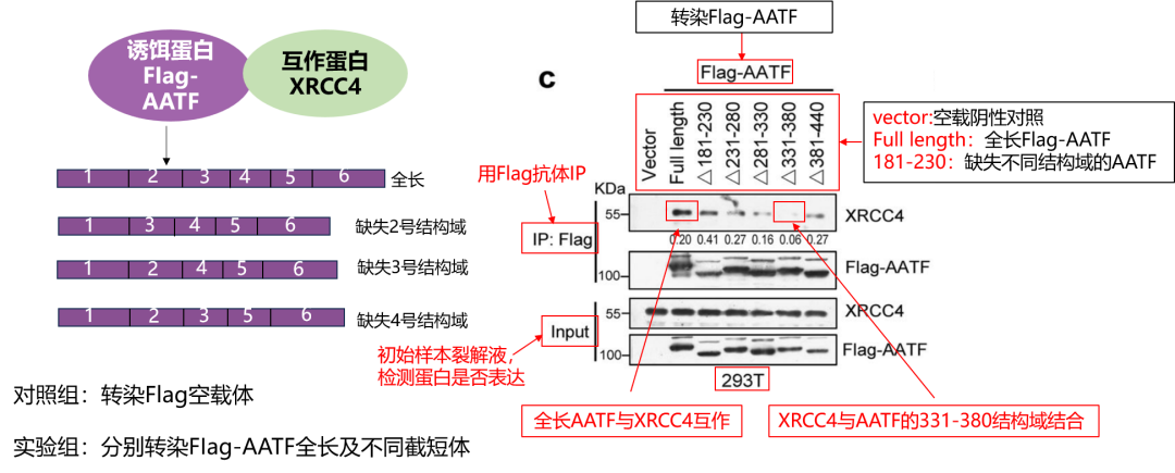 1765943649171696.png 1765943649171696.png